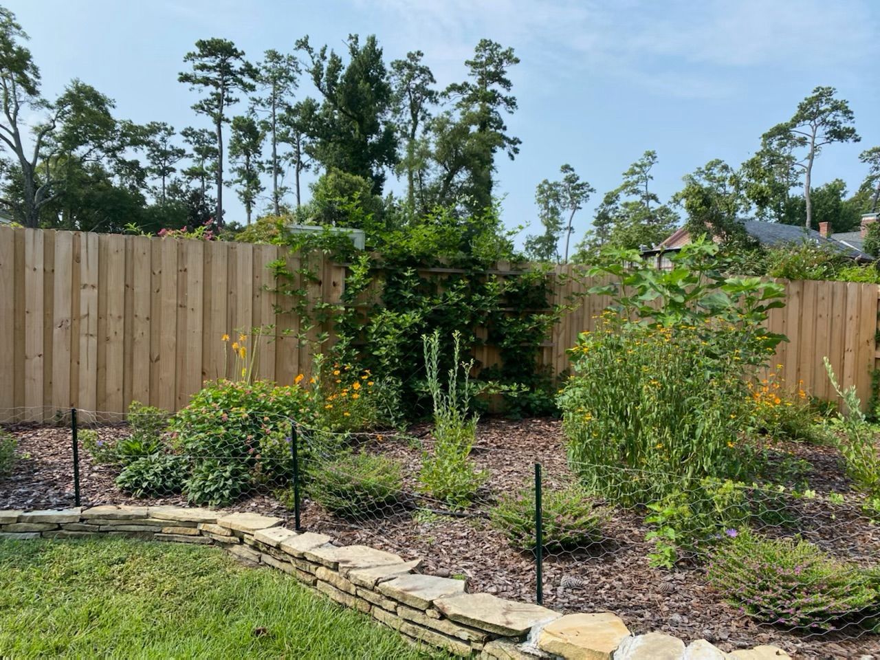 A garden bed with a stone border against a wooden fence, various plants and trees in a sunny backyard.