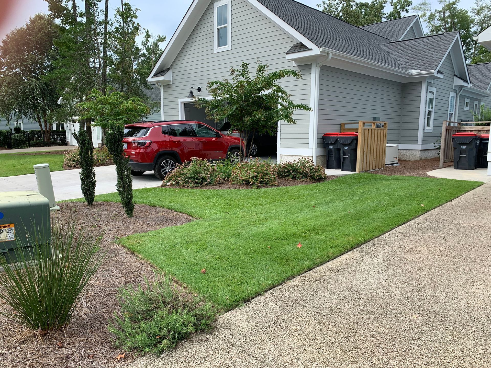 beginning stage of a garden design  a bed full of grass