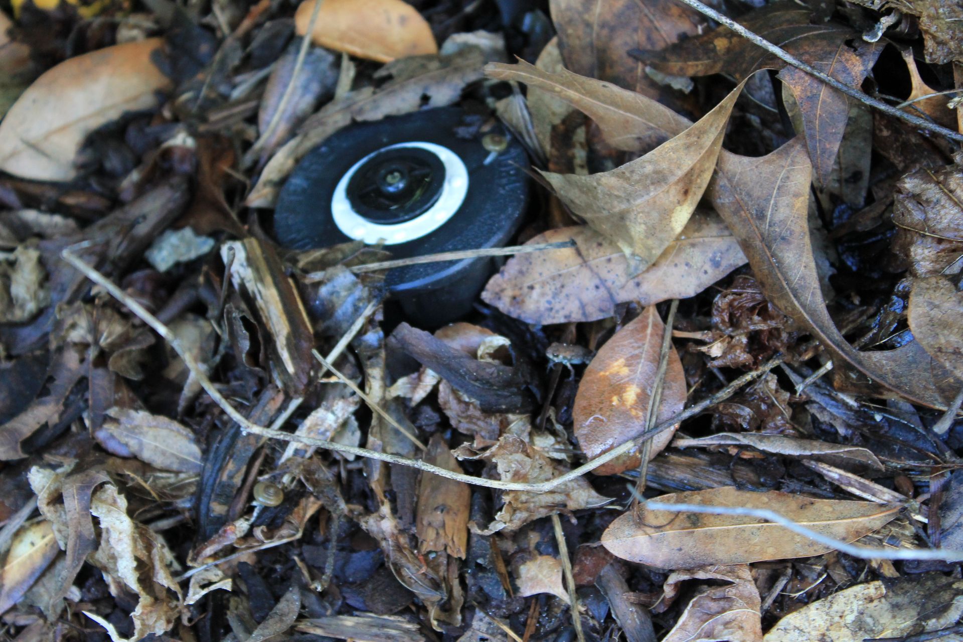 Sprinklers spraying water on a green lawn in a blurred, sunny outdoor setting.