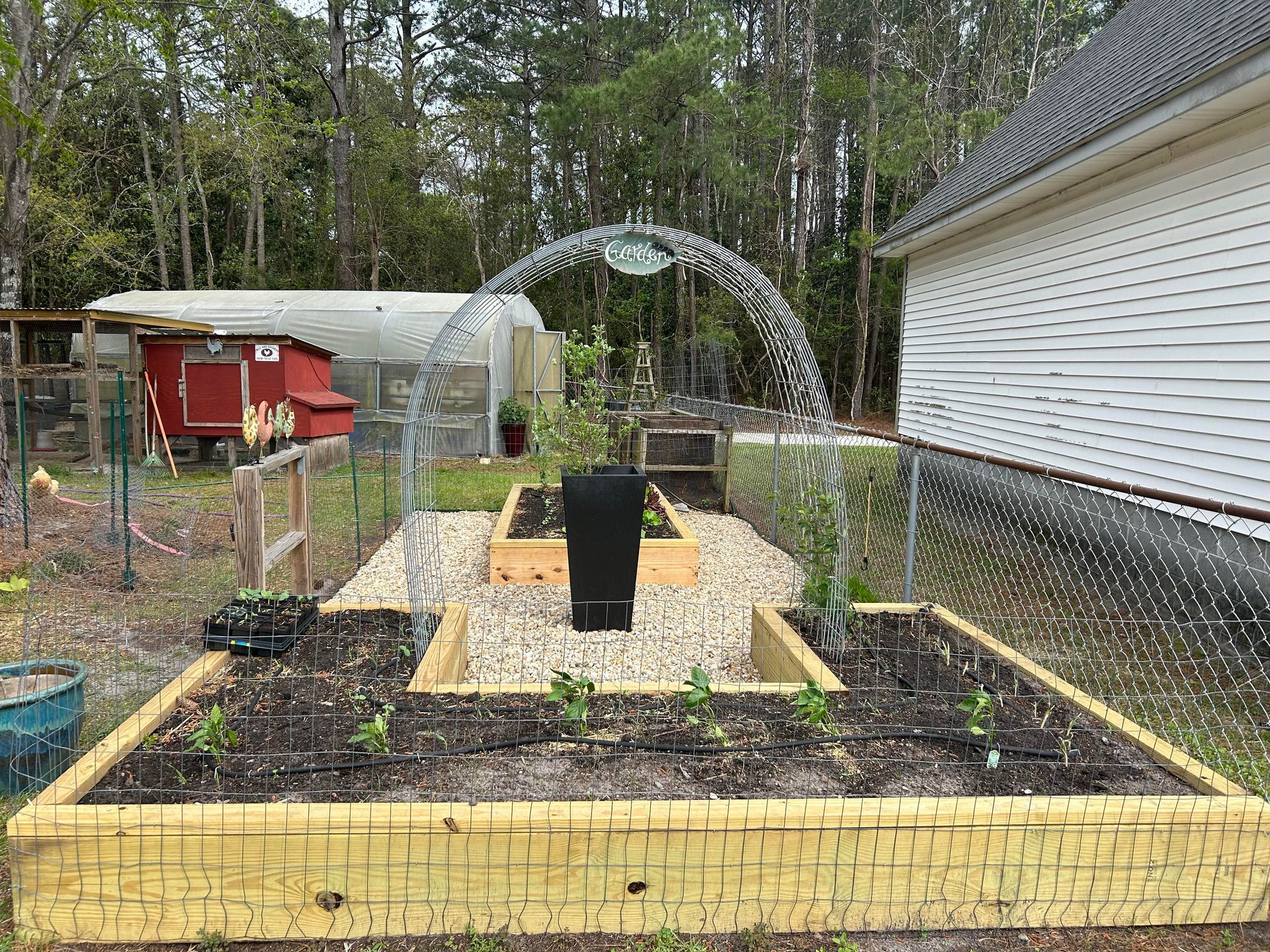Raised garden beds with arched trellis, gravel path, and chicken coop in the background.
