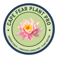 Circular logo: pink water lily, 