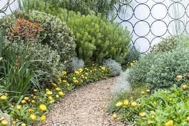 Pathway through a garden with yellow flowers, various green shrubs, and a patterned wall.