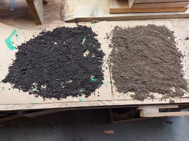 organic soil next to sandy soil 
