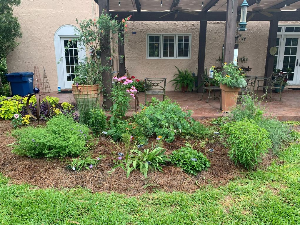 Herb garden in front of a stucco building and patio, with pine straw mulch, green plants, and a bird feeder.