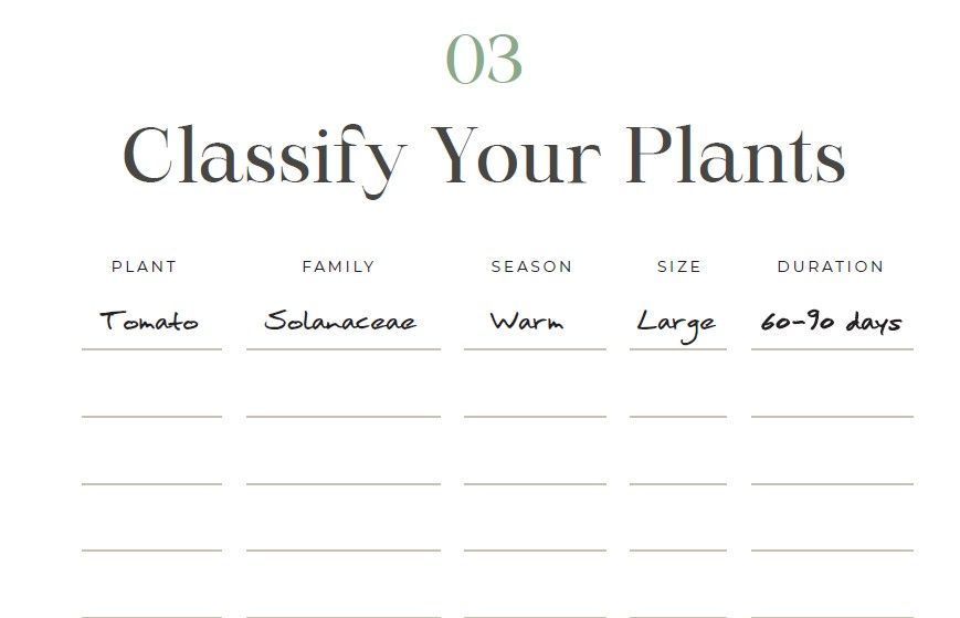 Form to classify plants with example: Tomato, Solanaceae, Warm, Large, 60-90 days.