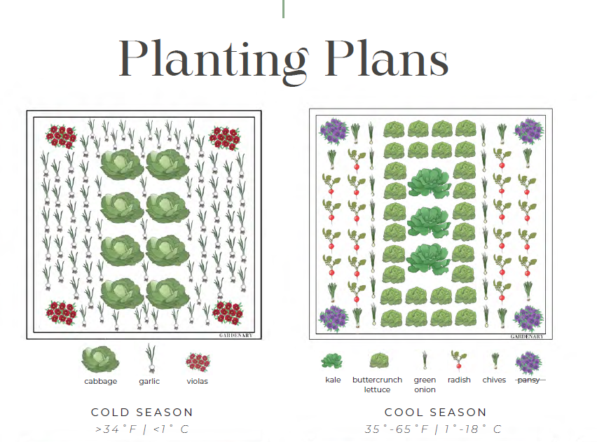 Two garden planting plans for cold and cool seasons, showing plant layouts with labeled vegetables.