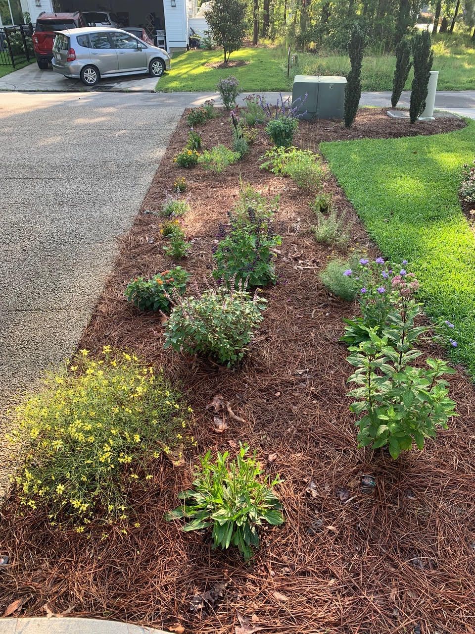 native garden install