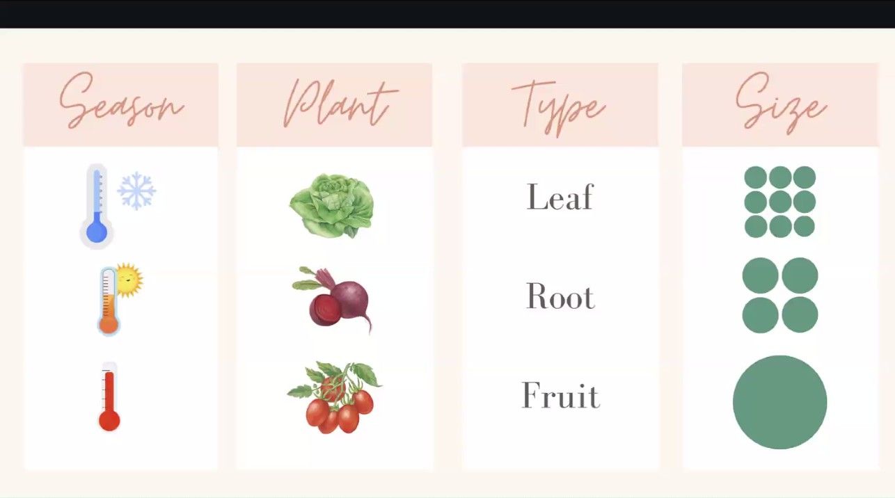 Table showing plants by season, type (leaf, root, fruit), and size with color illustrations.