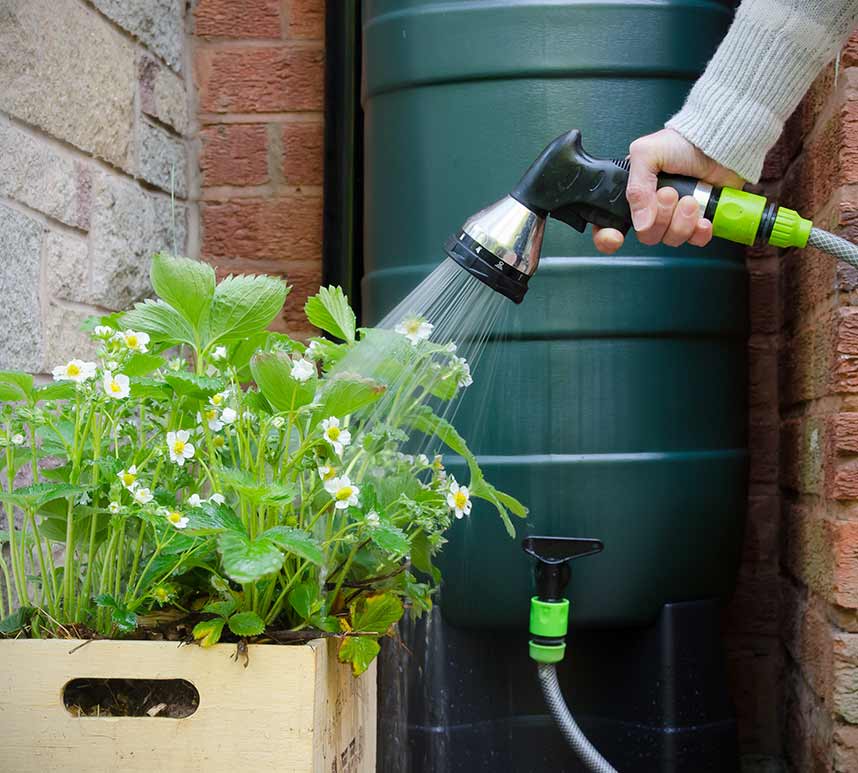 Watering Plants From Water Tank — Exterior Pressure Cleaning In Bega Valley, NSW