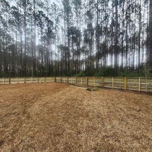 Brown yard with wooden fence, surrounded by tall trees in a forest. Overcast day.