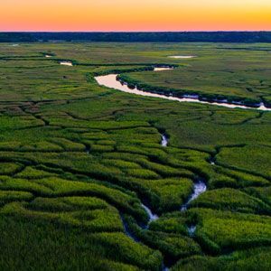Green marsh with winding river under an orange and yellow sunset.