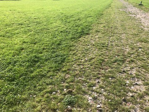 e afwatering is zodanig ontworpen dat de verhoogde track 's winters begaanbaar blijft