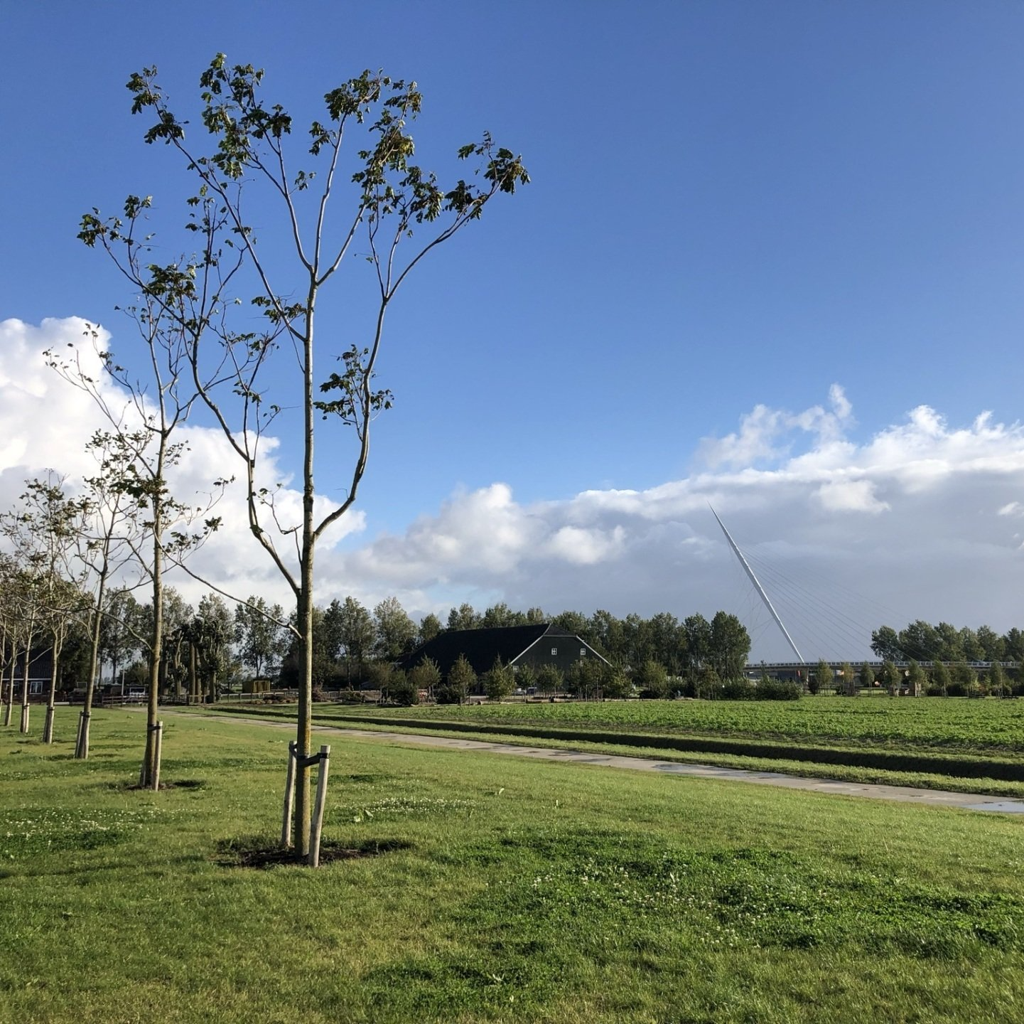 Projectfoto Aanleg Kleine Vennep Park 21 | 3