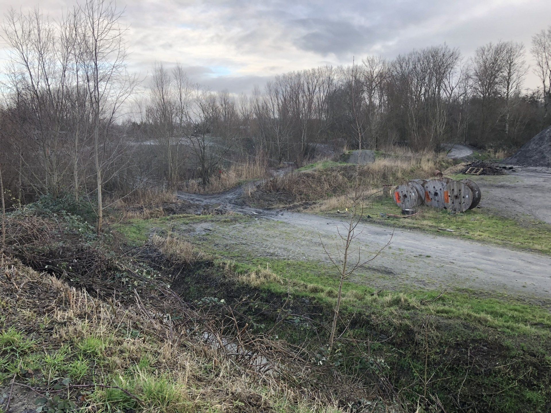 et aanwezige groen is hierbij door verplanting in het werk gespaard