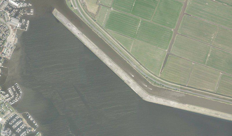 Natuur- ontwikkeling Saskerleidam-4