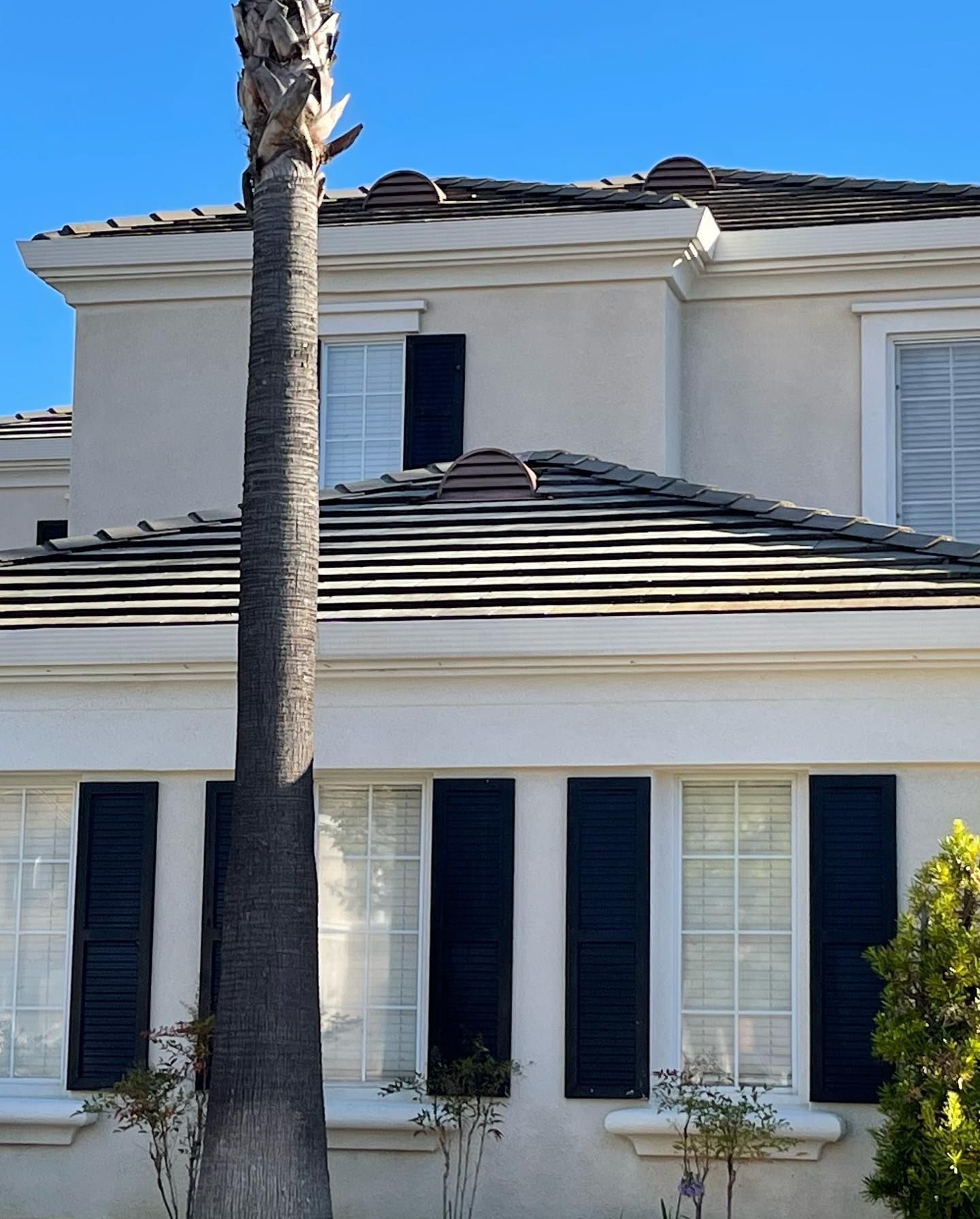 A white house with black shutters and a palm tree in front of it