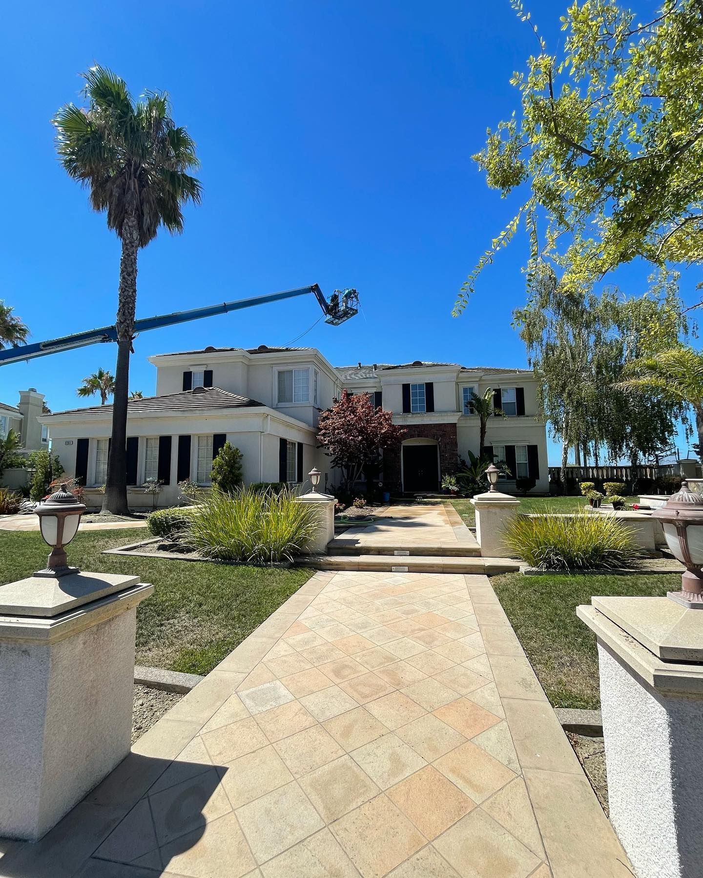 A large white house with a palm tree in front of it