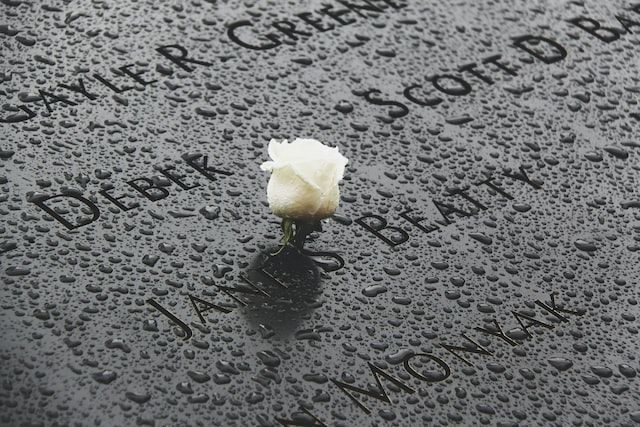 White rose on a rain-covered memorial engraved with names in El Cenizo, TX.
