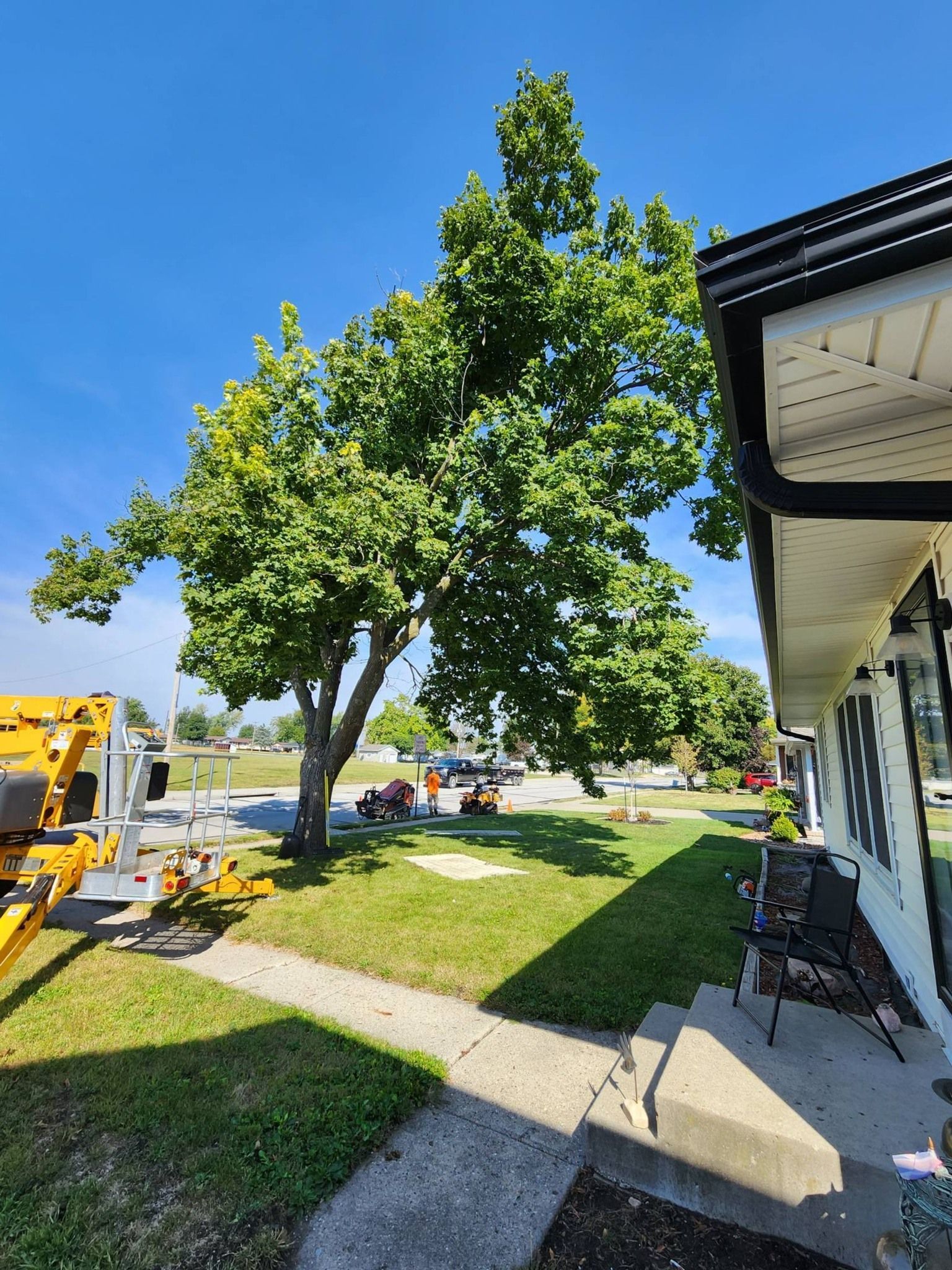 A tree is being trimmed in front of a house on a sunny day.