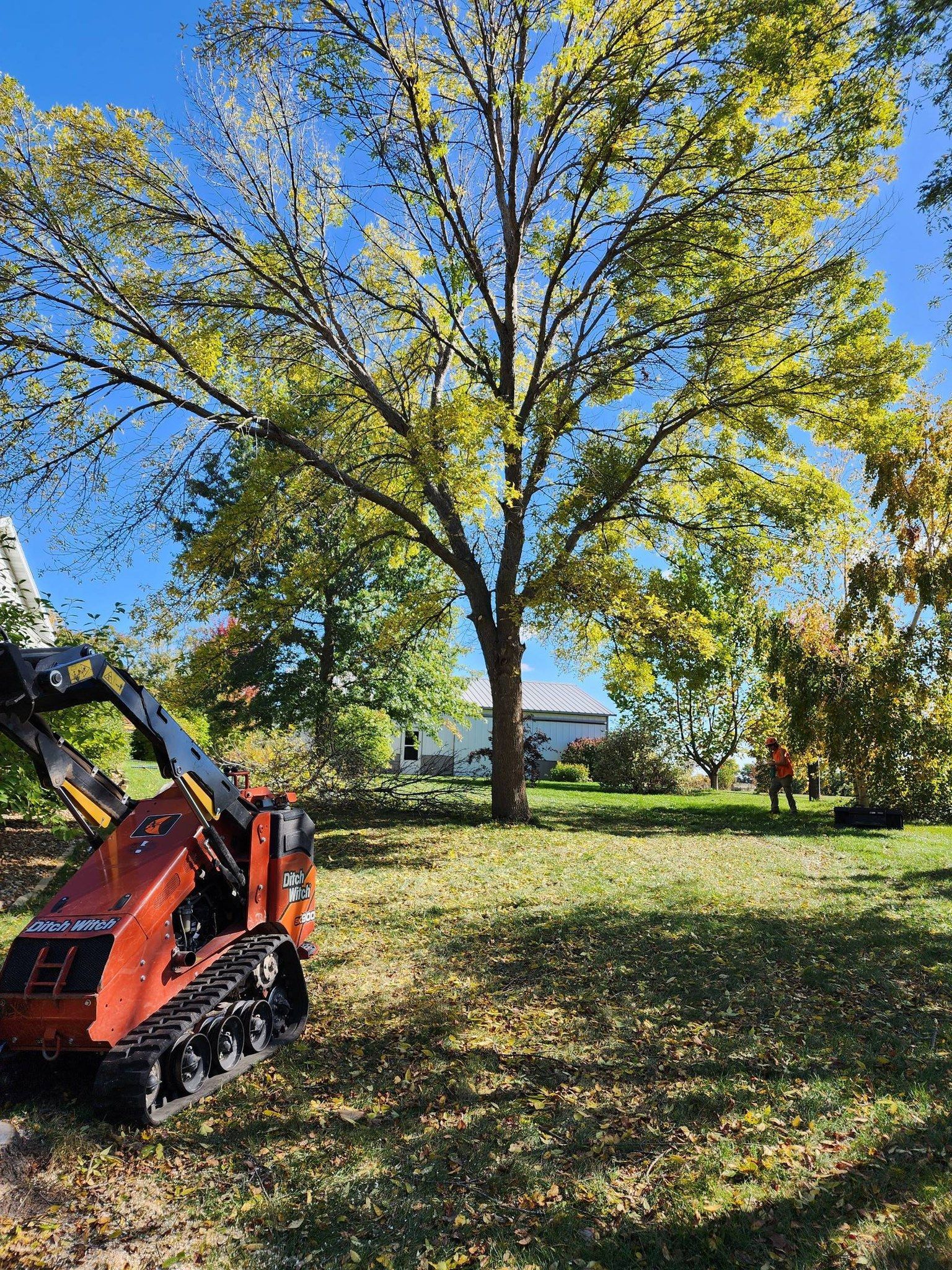 A small orange tractor is parked in a grassy field next to a tree.