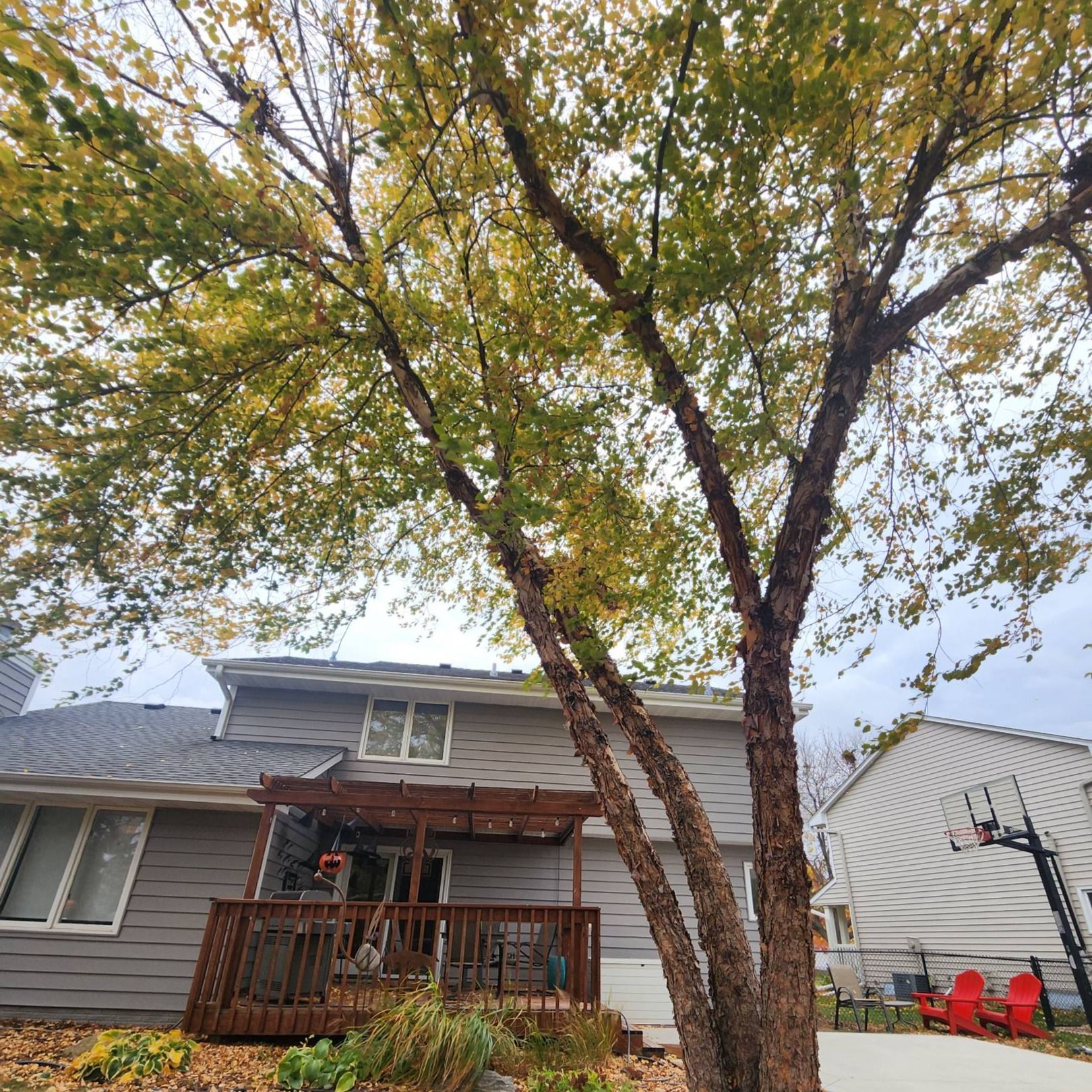 A house with a deck and a tree in front of it.
