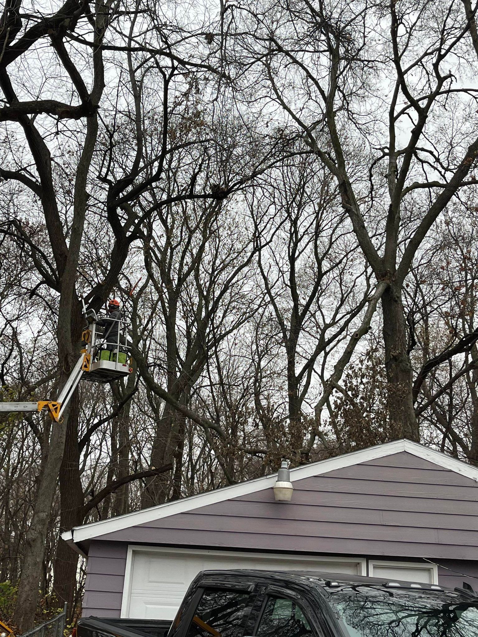 A man in a bucket is cutting a tree in front of a house.