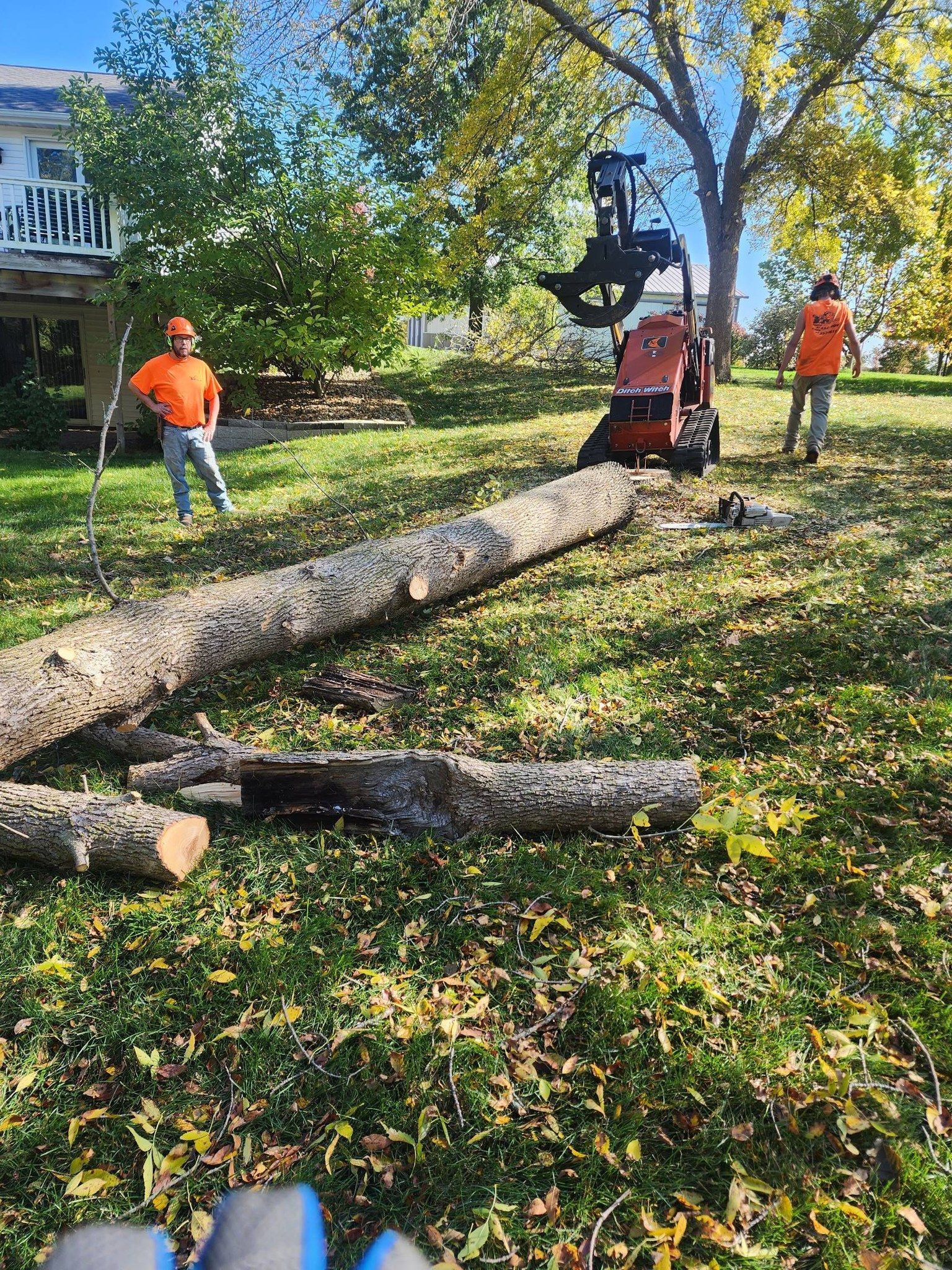 A group of men are cutting down a tree in a yard.