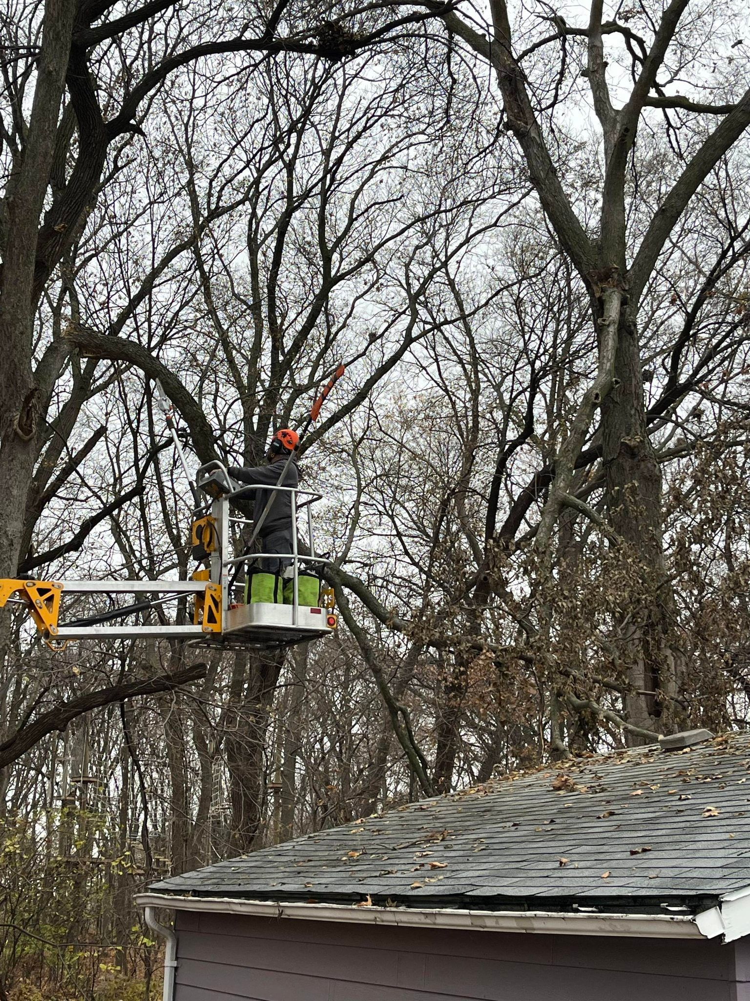 A man is cutting a tree in a bucket over a garage.