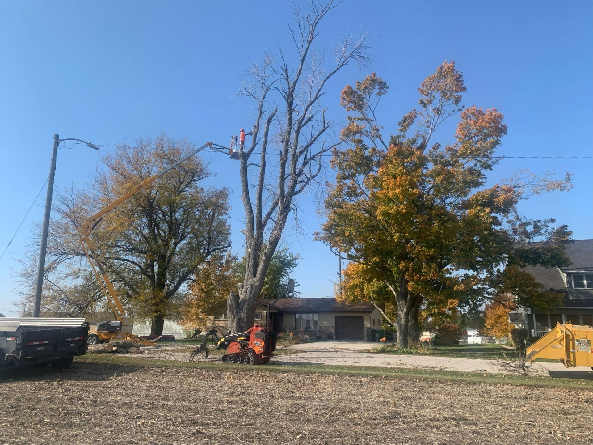 A tree is being cut down in front of a house.