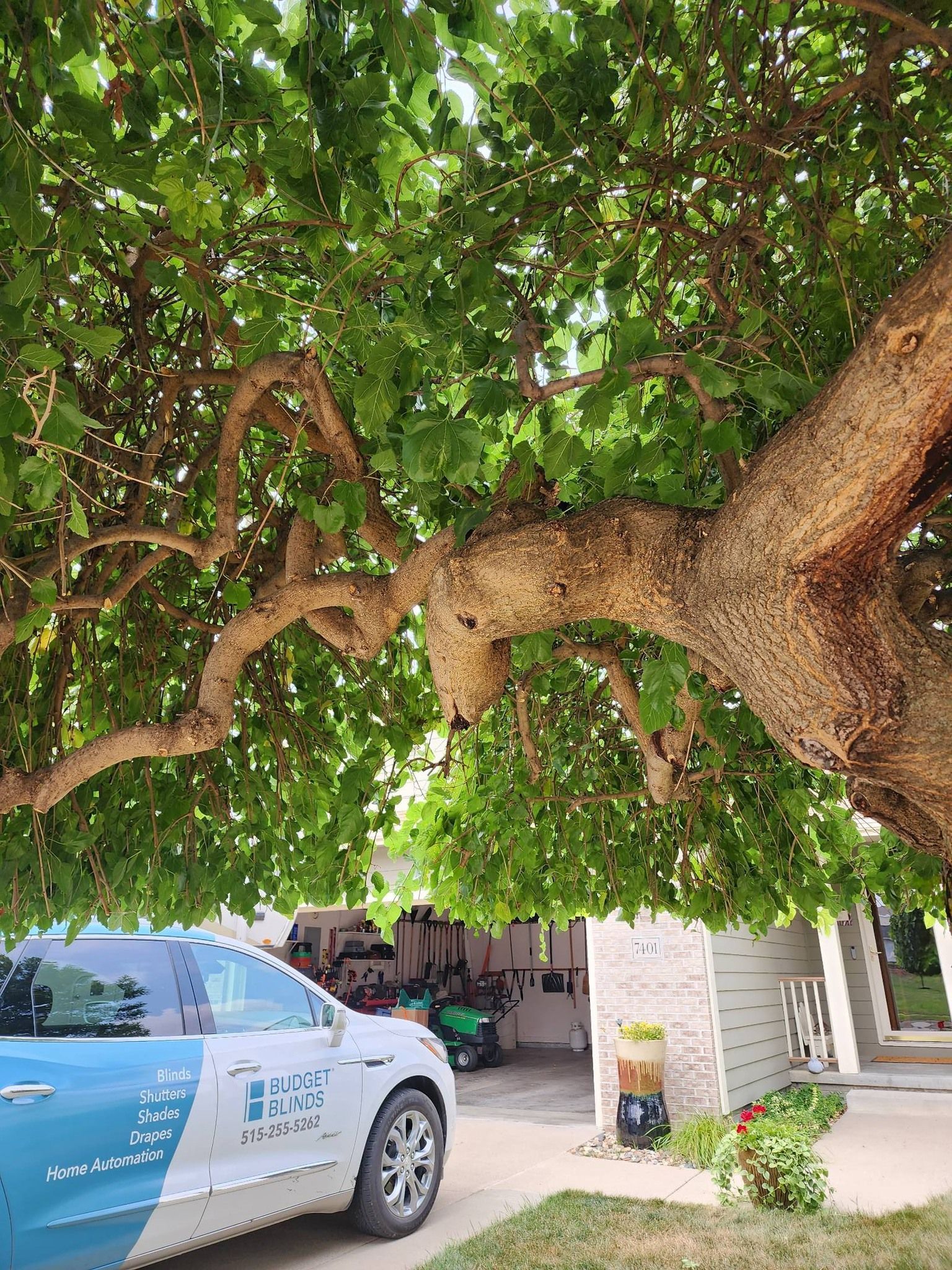 A car is parked under a tree in front of a house.