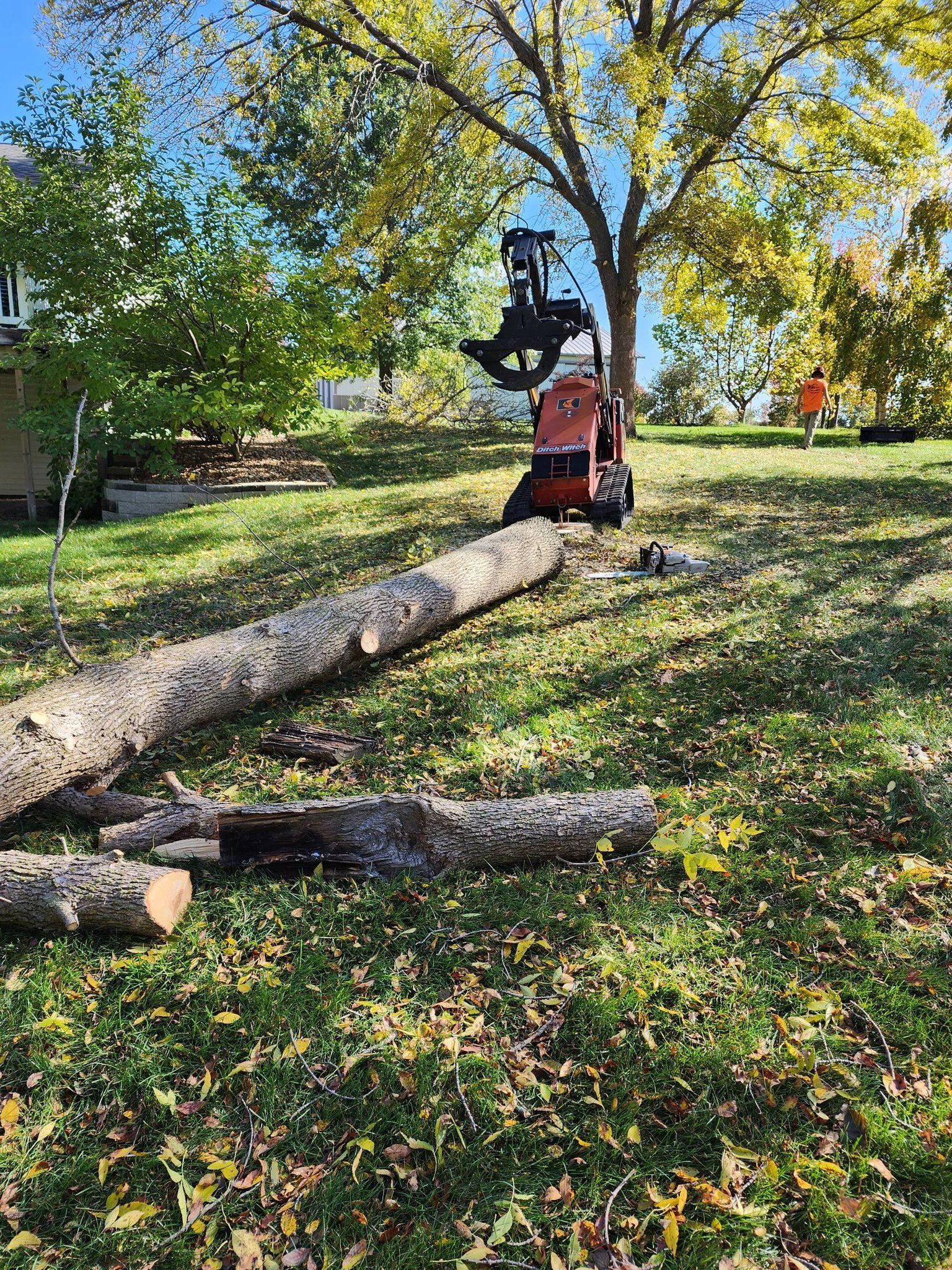 A person is cutting a tree in a yard with a machine.