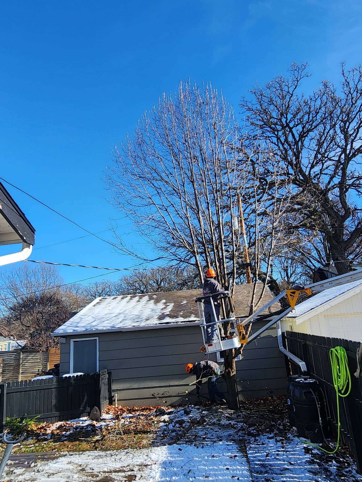 A man is cutting a tree in front of a house.