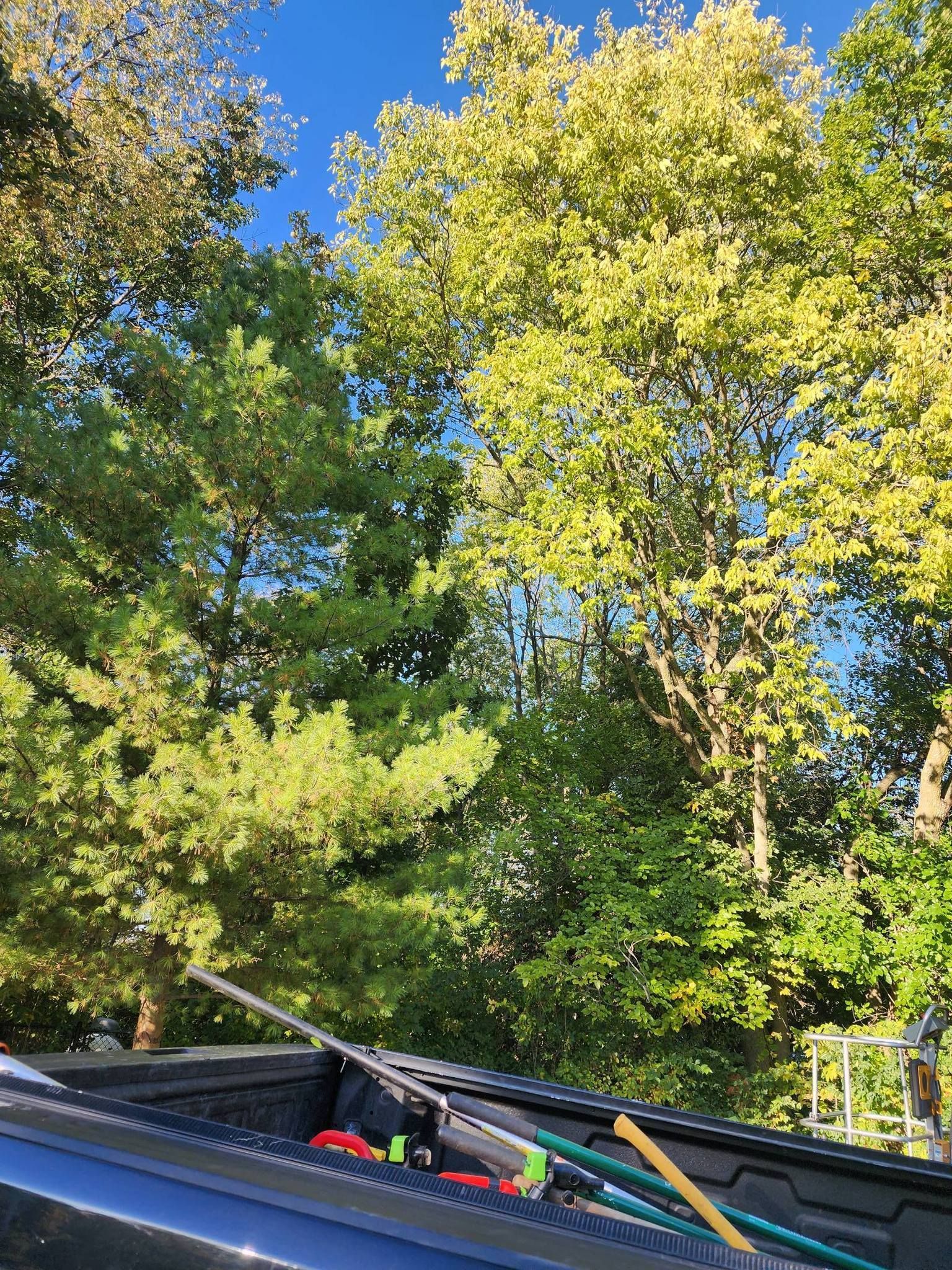 A truck with a hose in the bed is parked in front of trees.