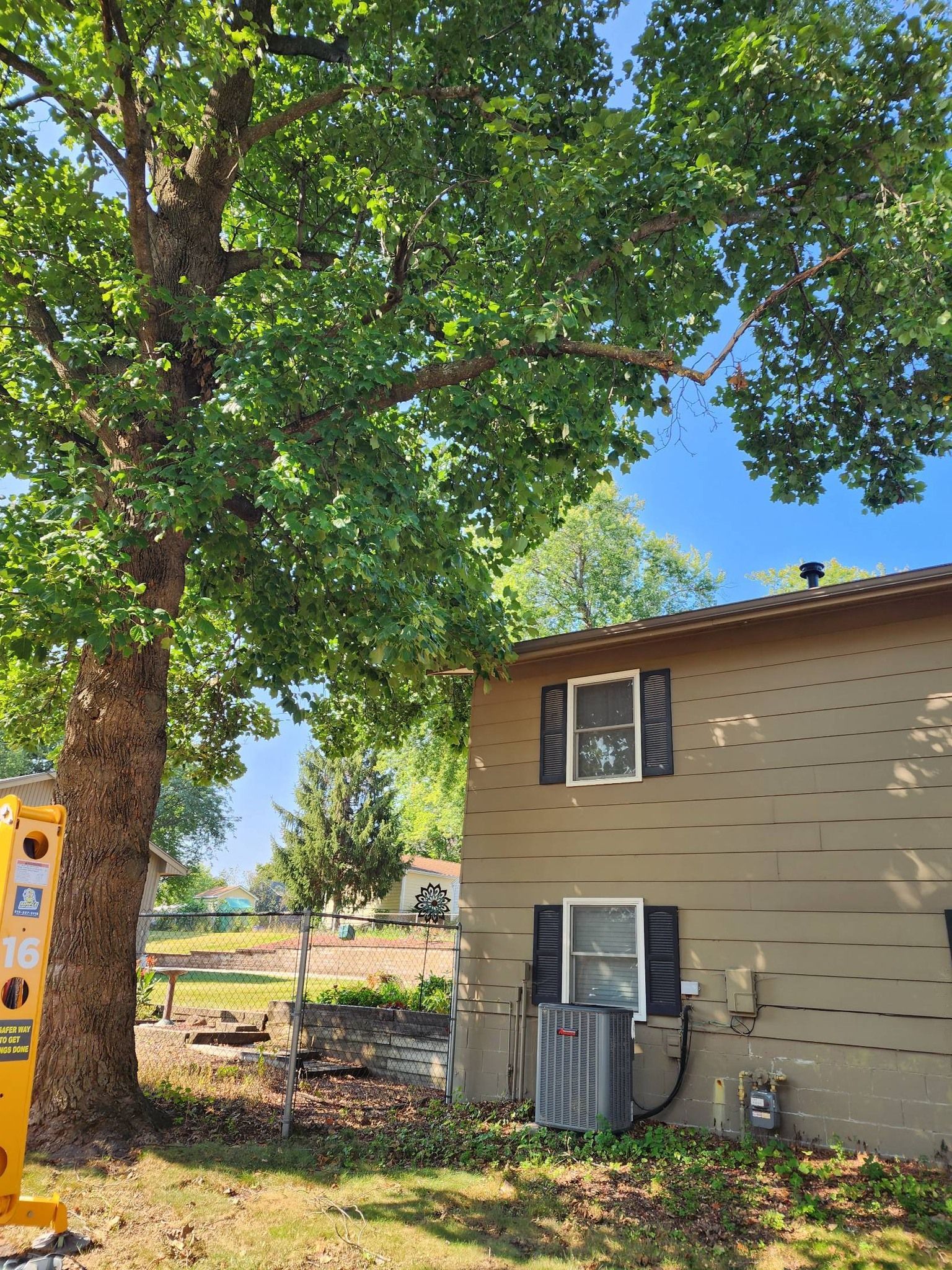 A house with a large tree in front of it.
