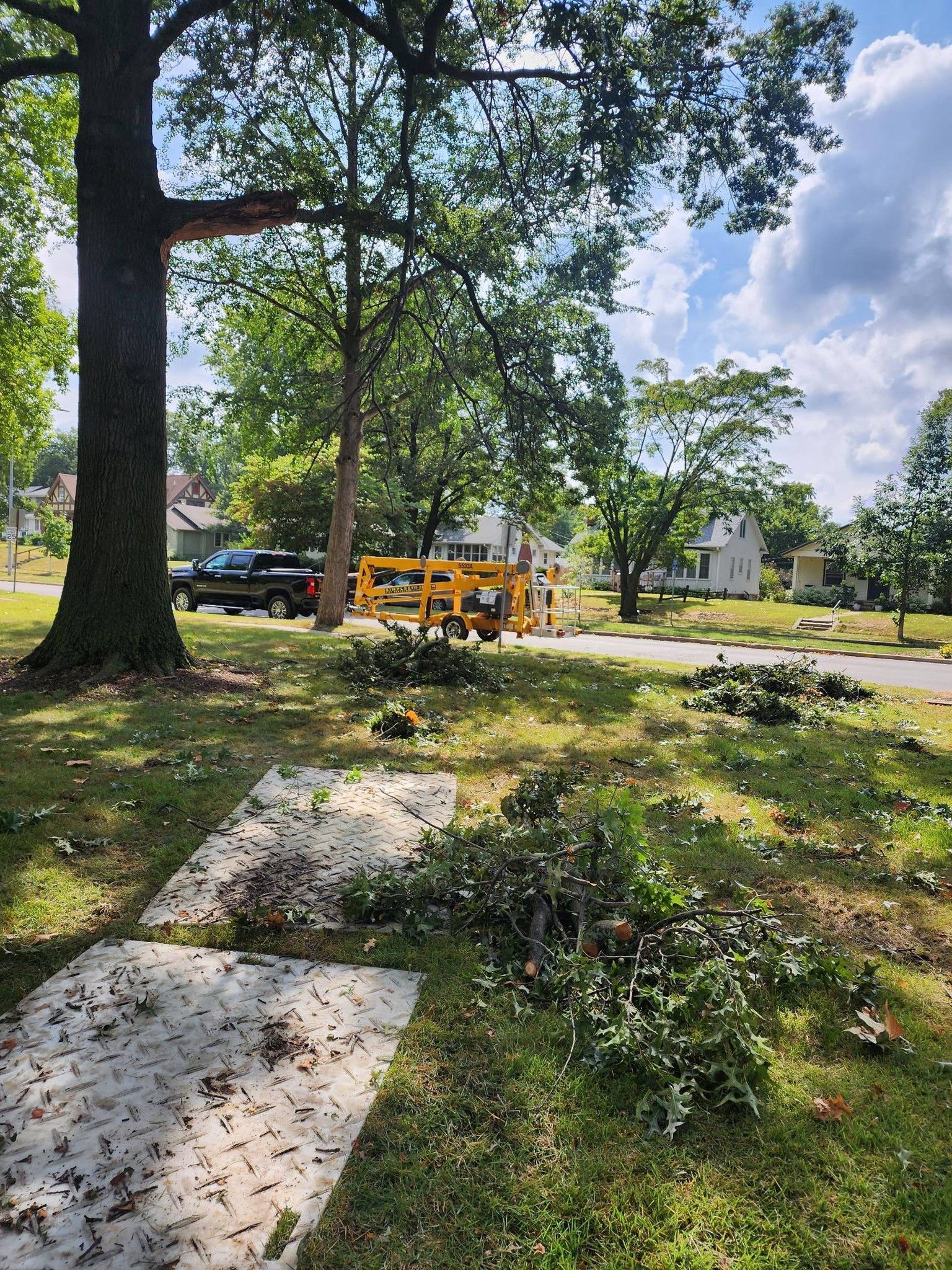 A tree that has been knocked over by a storm in a park.