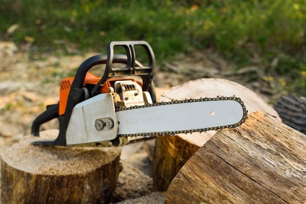A chainsaw is sitting on top of a tree stump.