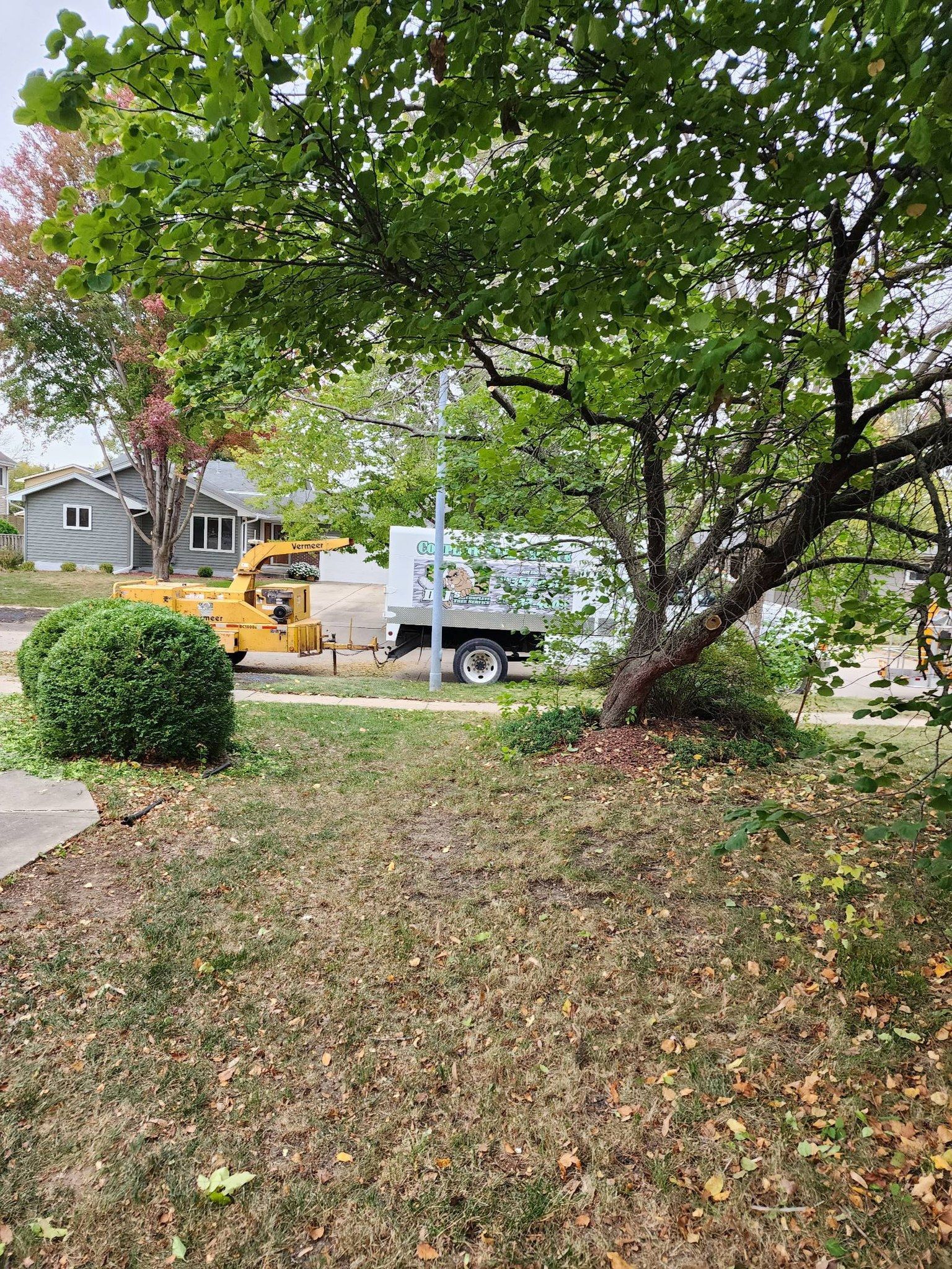 A truck is parked in a yard next to a tree.