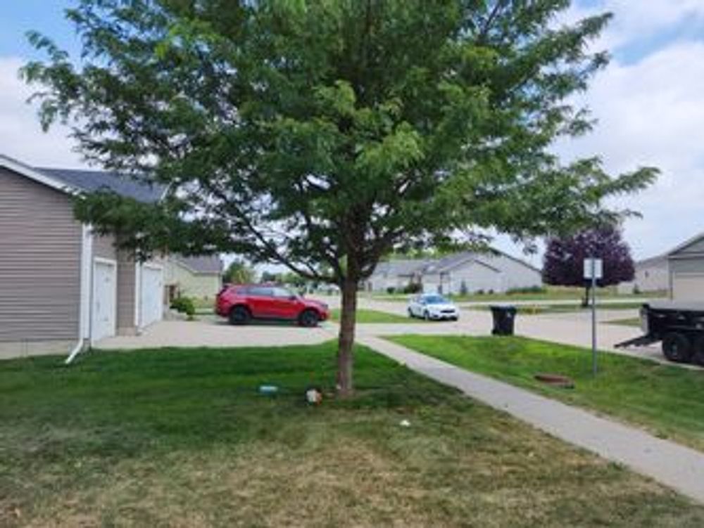 A red car is parked under a tree in front of a house.