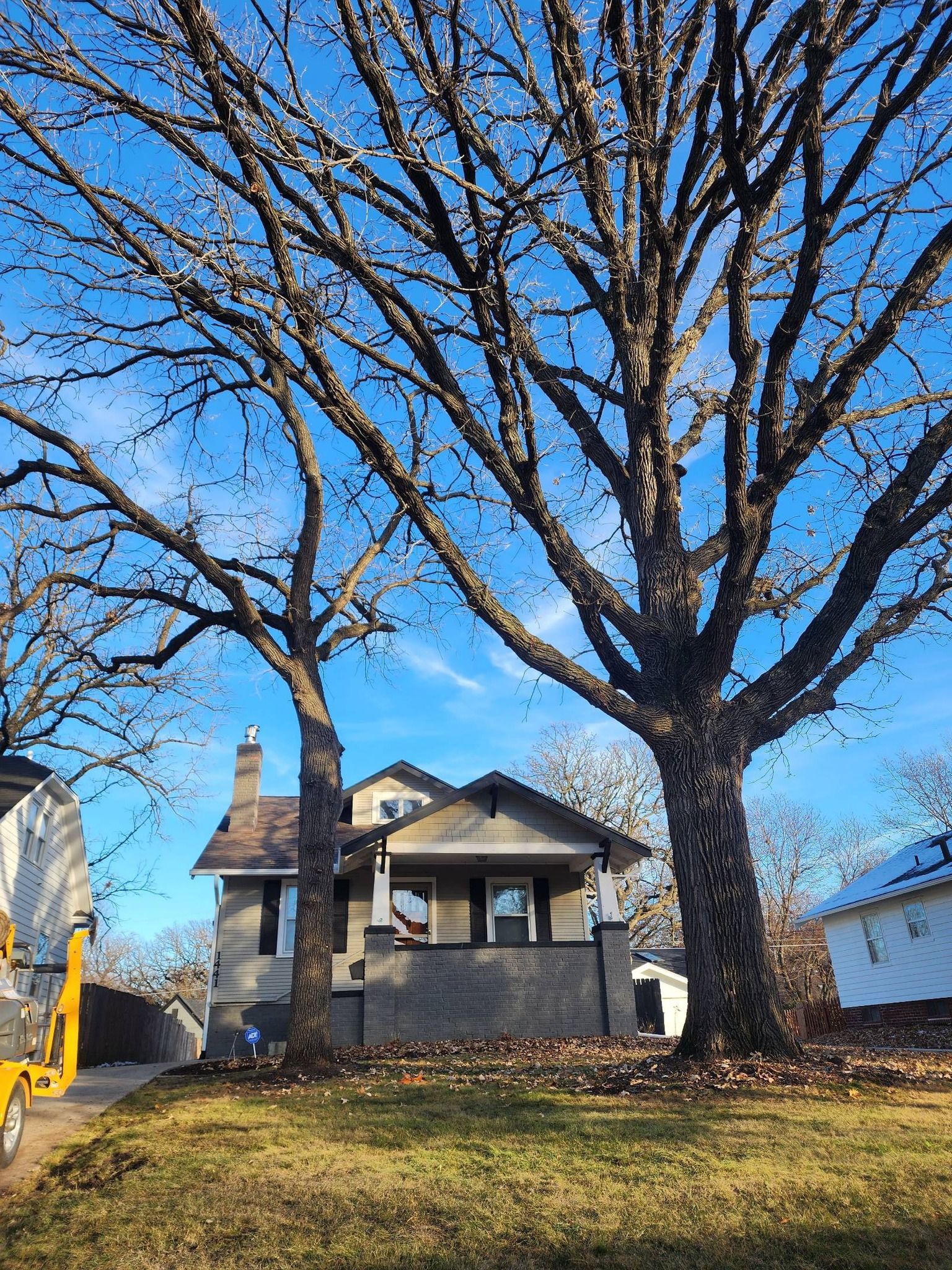 A house with a lot of trees in front of it