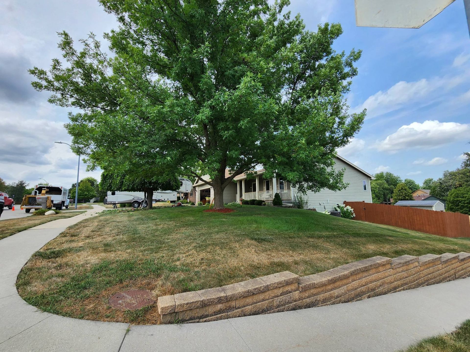 There is a large tree in the middle of the yard.