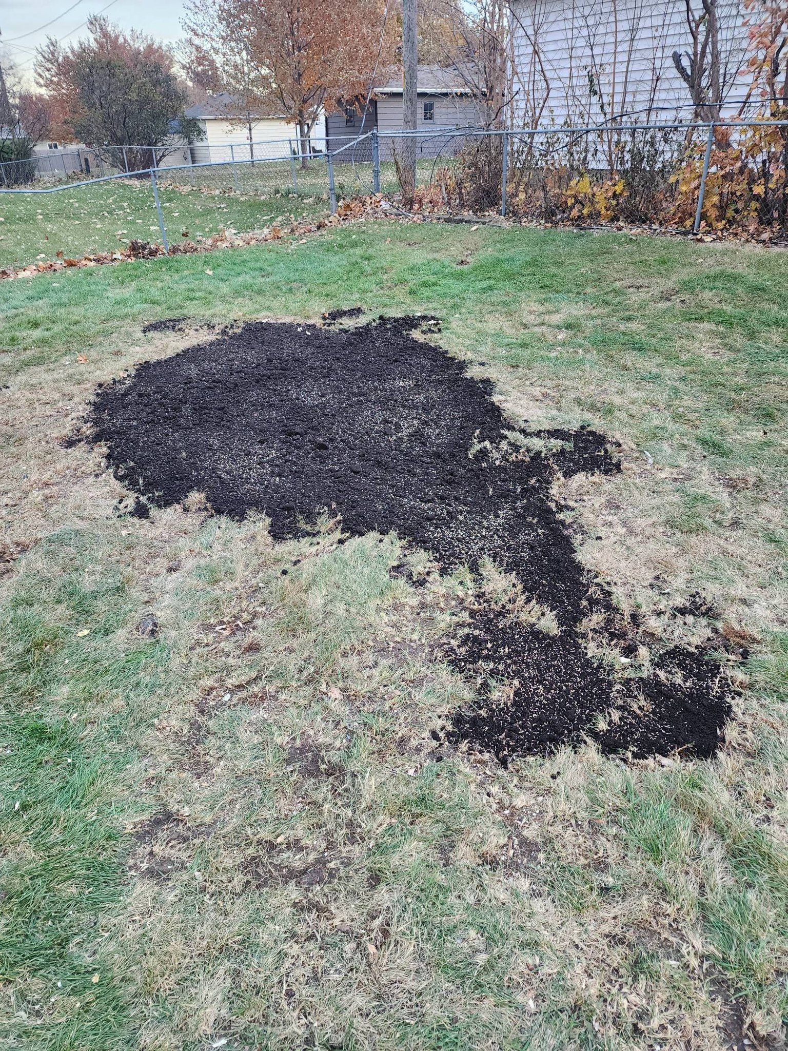 A pile of black dirt is sitting on top of a lush green field.