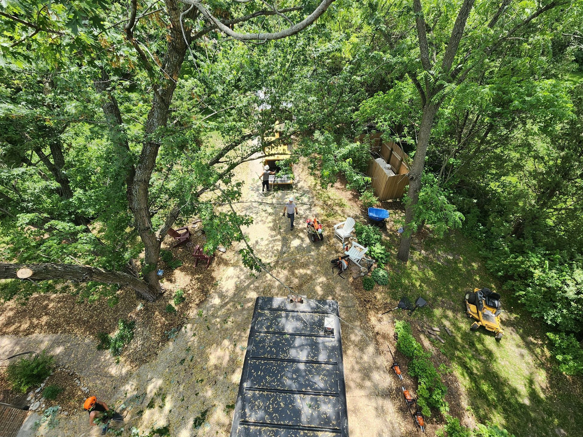 An aerial view of a forest with trees and a truck in the foreground.