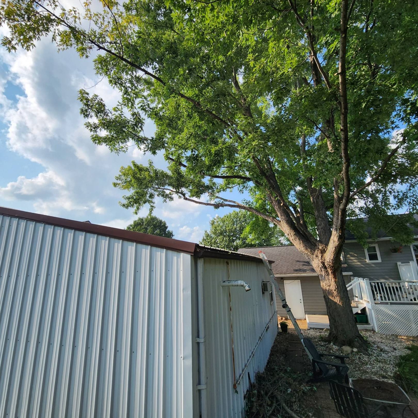 A white building with a tree in front of it