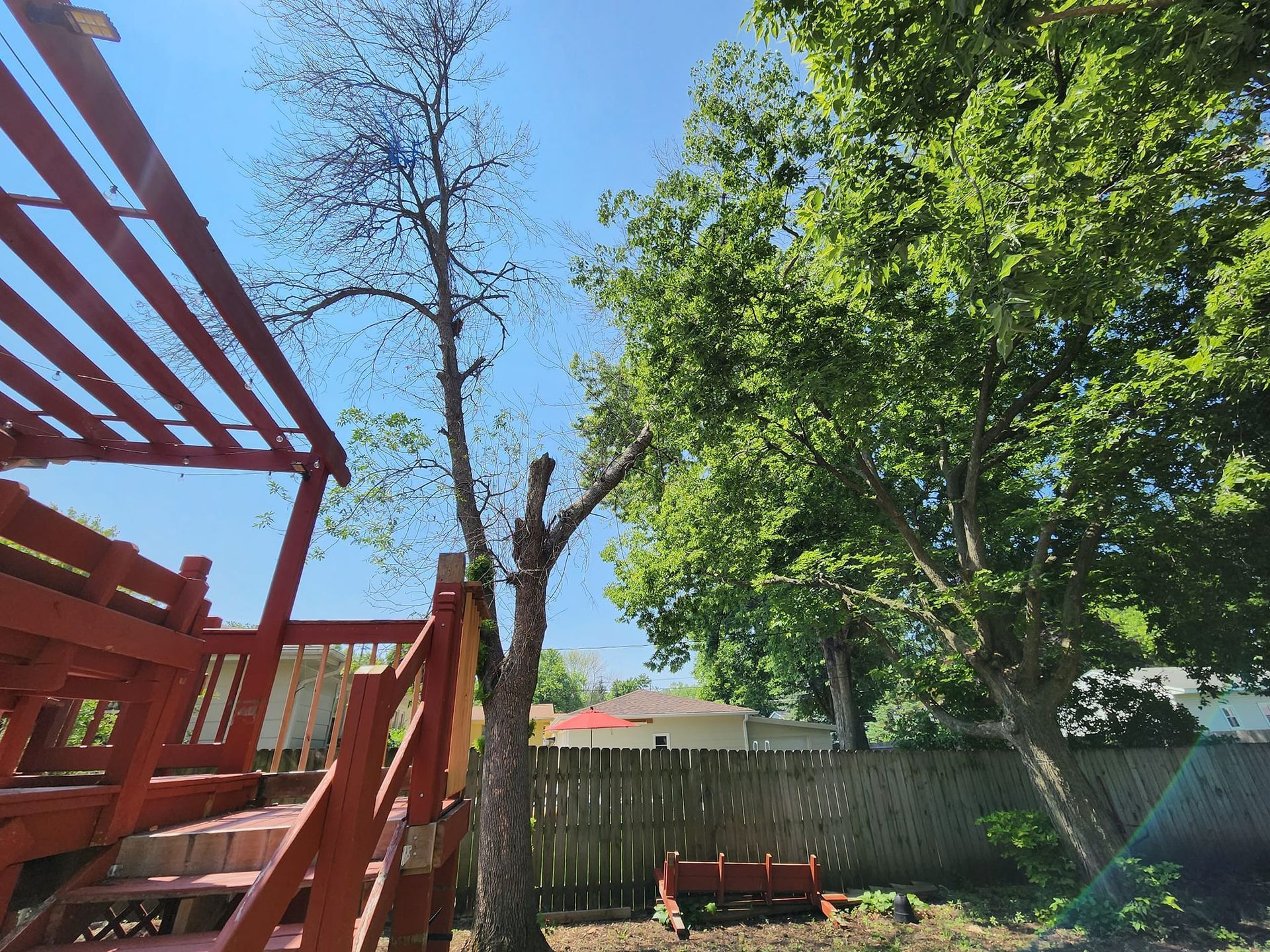 A red deck with stairs and a tree in the backyard
