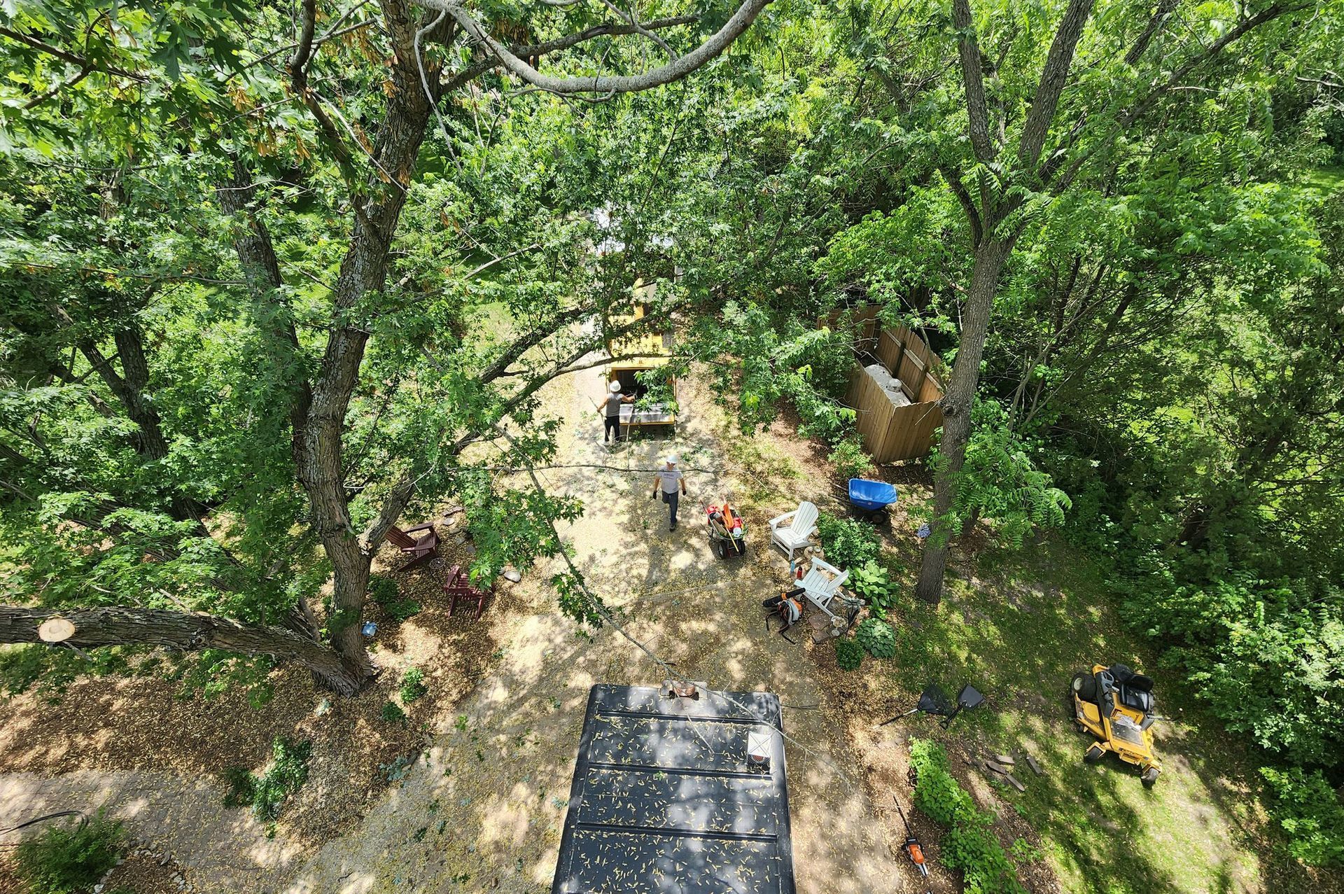 An aerial view of a forest with trees and a truck.