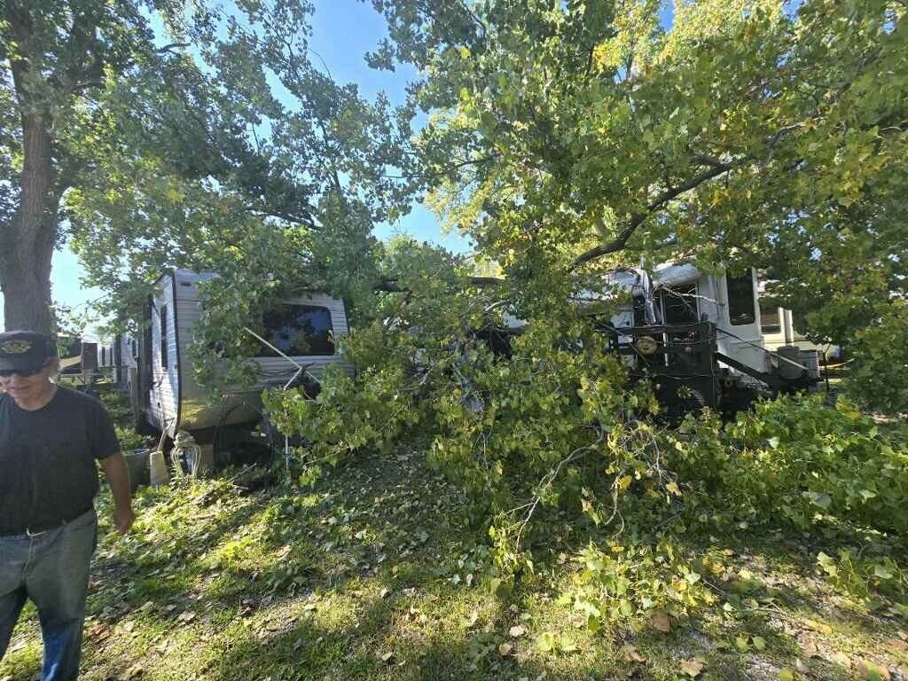 A man is standing in front of a tree that has fallen on a rv.