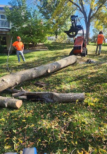 A man is standing next to a large log in a yard.