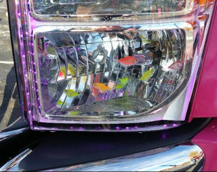 Pink Light - Milford, OH - Sora’s Towing, Inc.