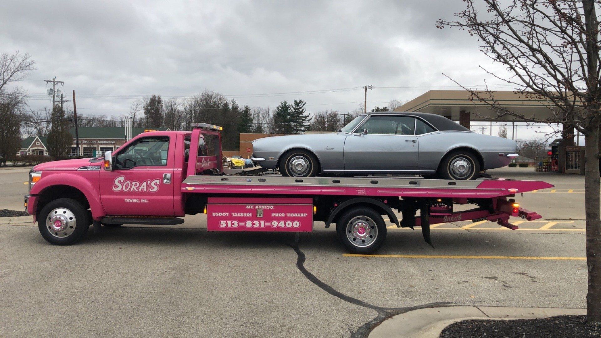 Tree Branch - Milford, OH - Sora’s Towing, Inc.