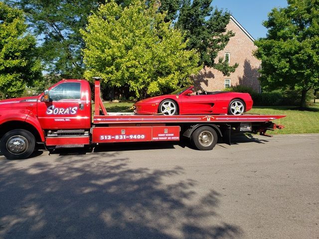Trees - Milford, OH - Sora’s Towing, Inc.